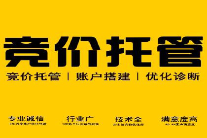 从新手到高手：百度竞价实战案例分析